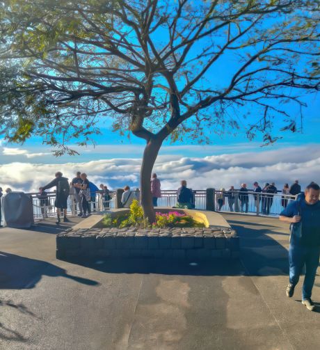 madeira-tours-02