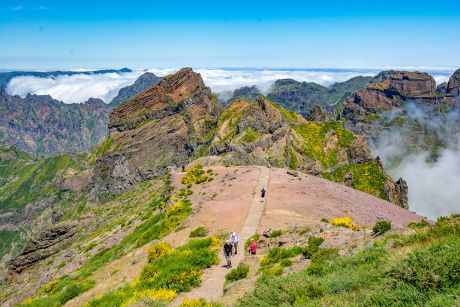 madeira-tours-41
