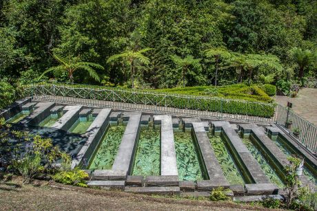 madeira-tours-20