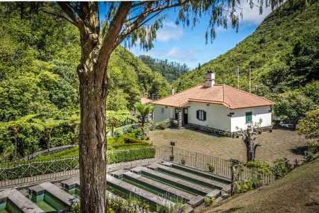 madeira-tours-19